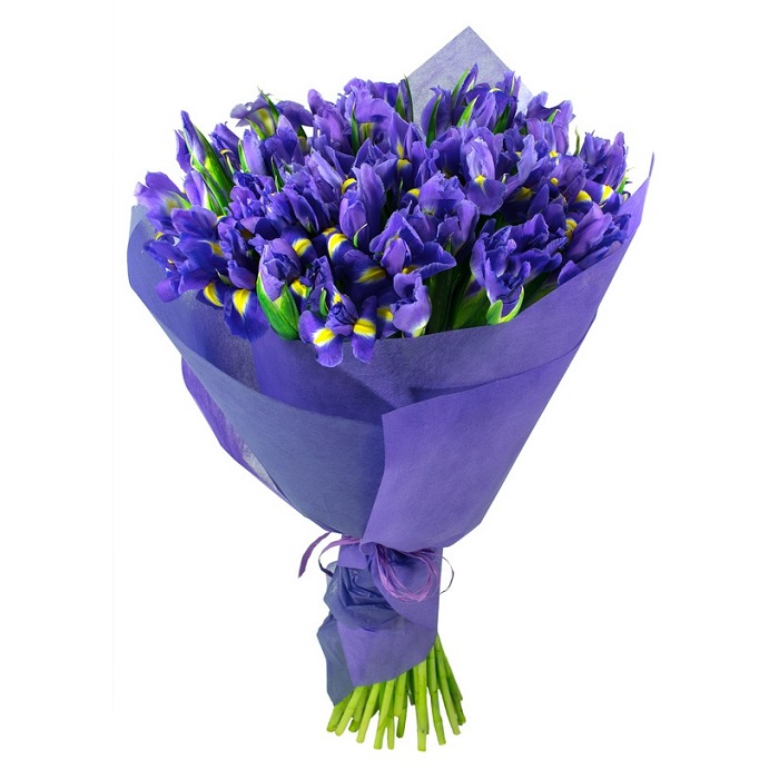 25Th Wedding Anniversary Gift - Blue And Purple Iris Flowers