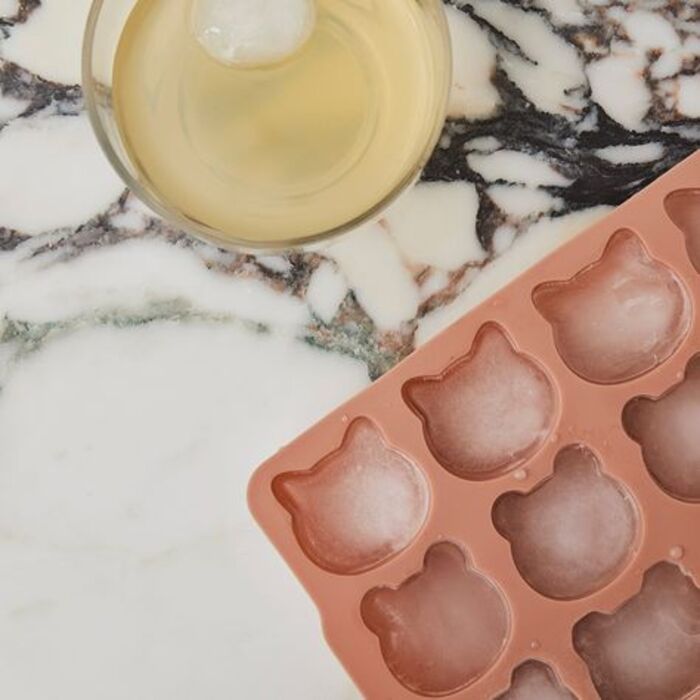 Cat shaped ice tray: funny gifts for girlfriend