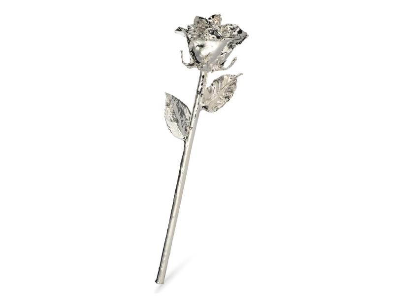 Silver Dipped Rose for the 23rd anniversary gift traditional and modern