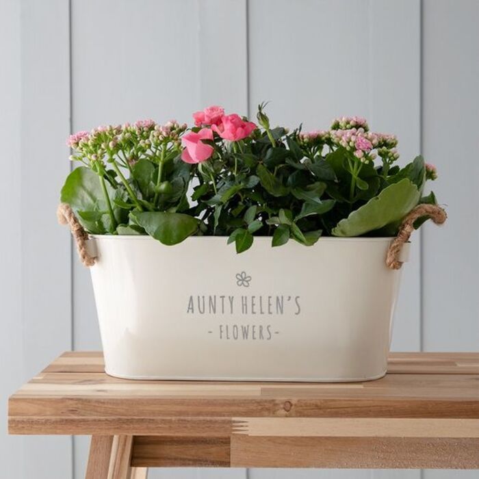 Auntie planter: cool personalized gifts for your aunt