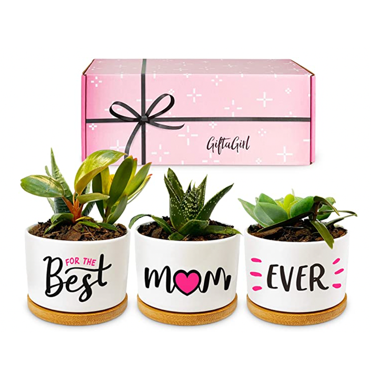 Mother's day gifts for new moms -Best Mom Ever Succulent Planters
