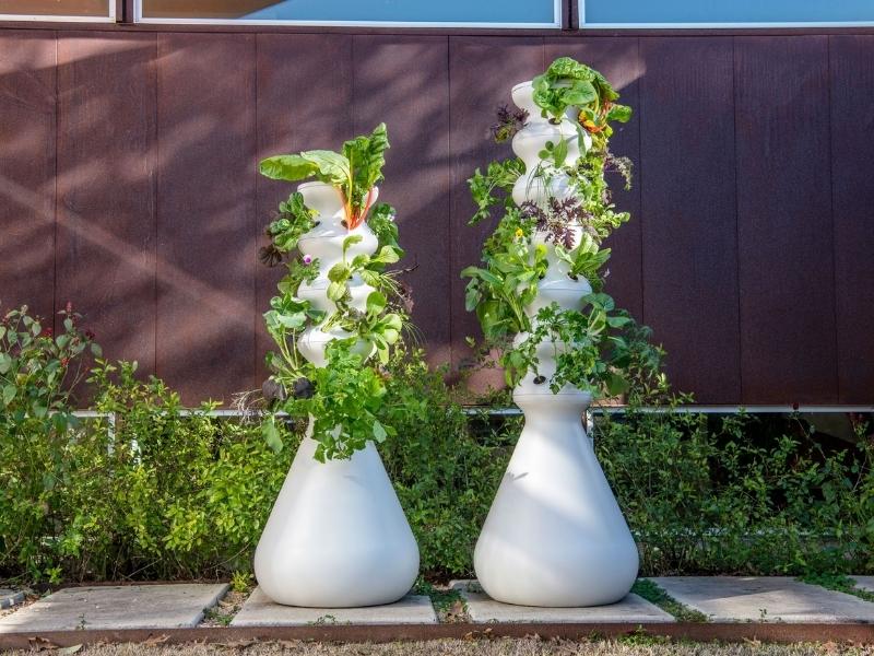 Lettuce Grow The Farmstand For The 47Th Year Anniversary Gift