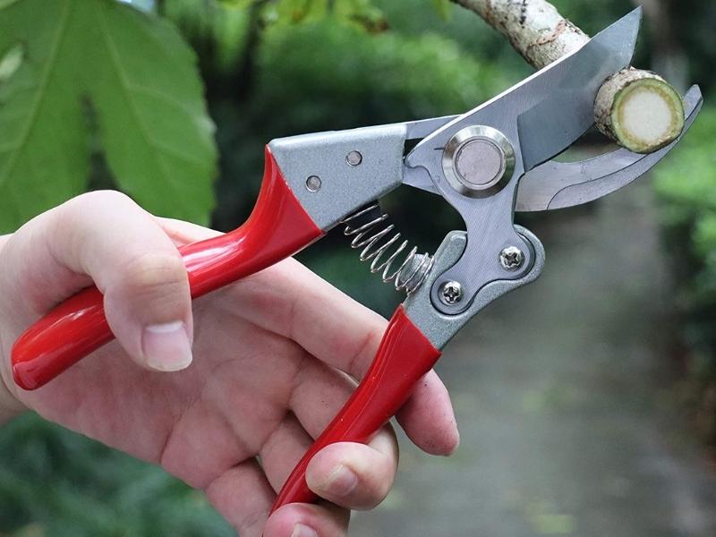 Garden Pruners for 47th anniversary gifts