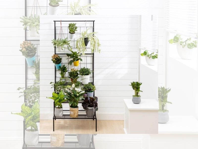 Hanging Plant Stand And Pot Organizer For The 47Th Anniversary Gift