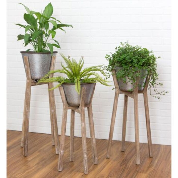 Houseplant set: heartfelt gifts for boyfriends dad