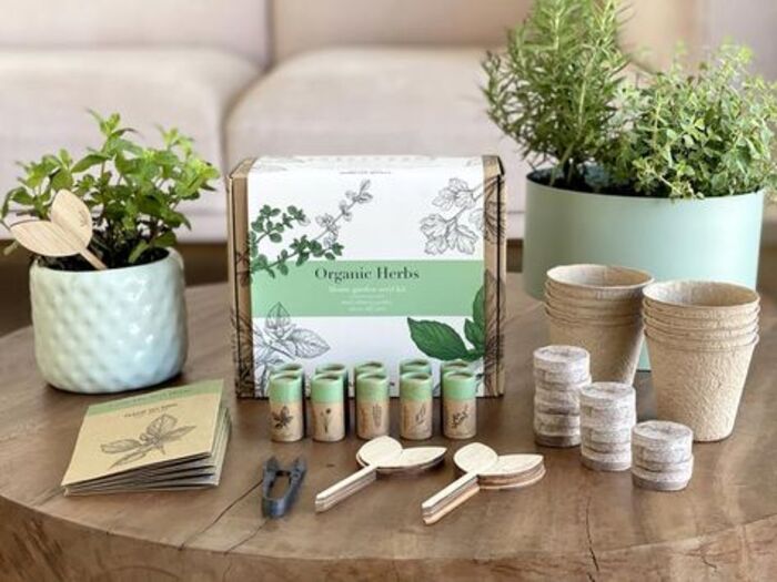 Growing herbs kit: cool present for boyfriend's mother