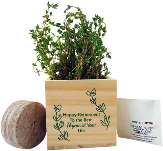 Retirement gifts for teacher - Happy Retirement Plant Pot