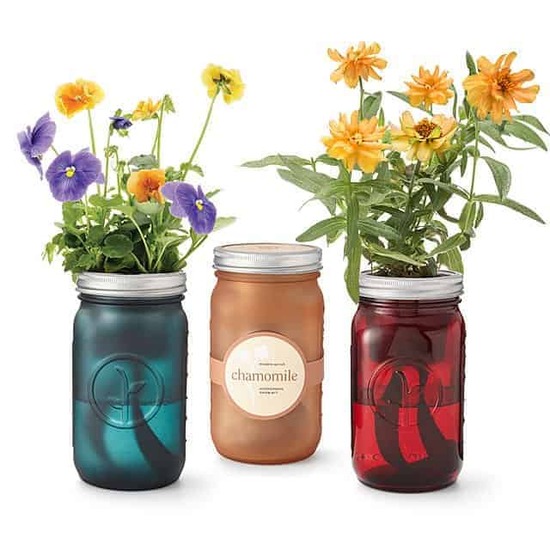 Retirement Gifts For Teacher - Mason Jar Indoor Flower Garden