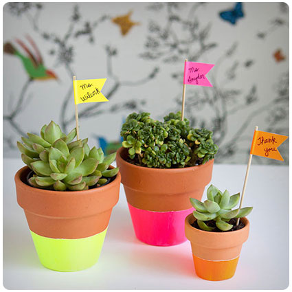 Retirement gifts for teacher - Neon Dipped Succulent Pot