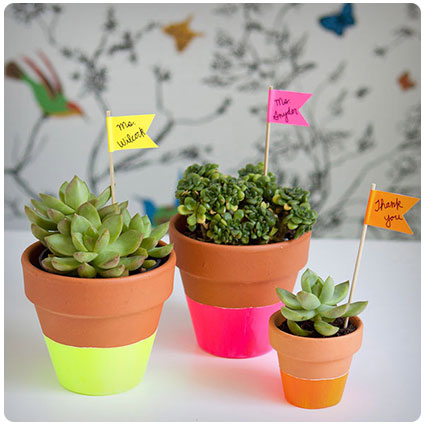 Retirement Gifts For Teacher - Neon Dipped Succulent Pot