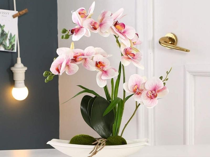 Plastic Orchids for the 28th anniversary gift for him