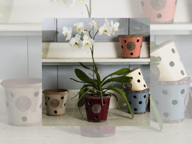 Orchid Pots for 28th anniversary gifts for couples