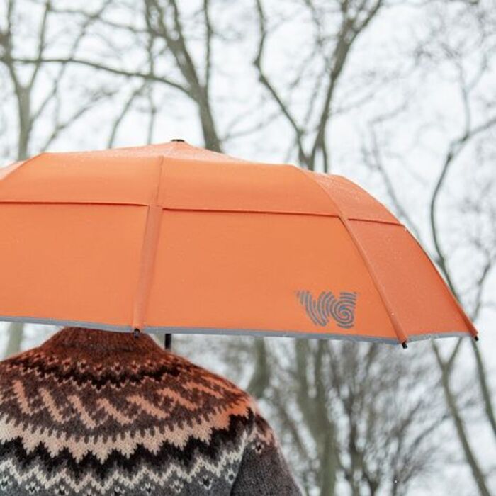 Fashionable umbrella: small cute gifts for boyfriend