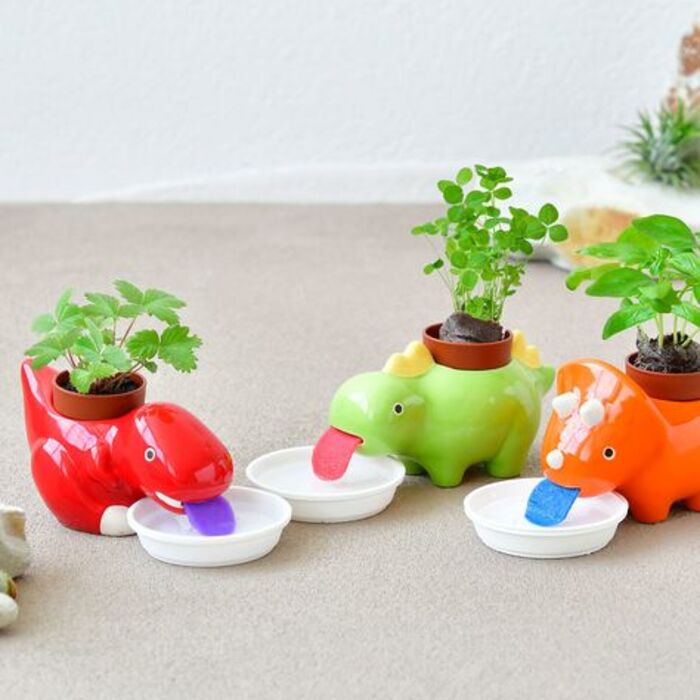 Self-watering planters: gag gift ideas for boyfriend