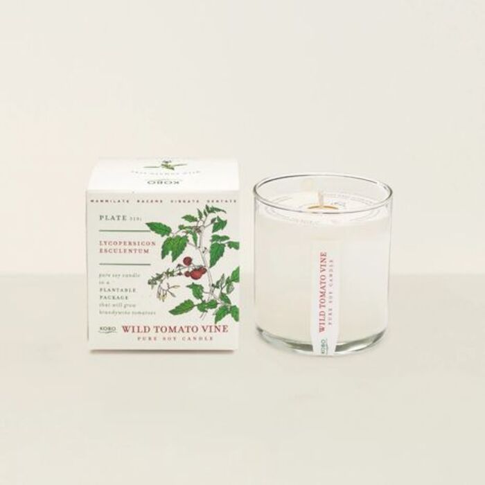 Tomato vine candle: cool present for mom who loves gardening