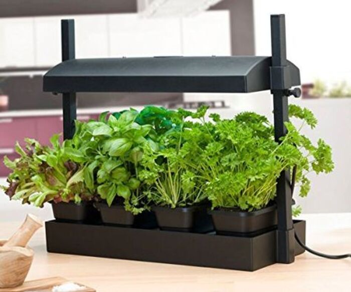 39+ Useful Gardening Gifts For Mom That She's Sure To Love