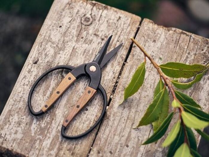 Walnut scissors: practical gardening kit for mom
