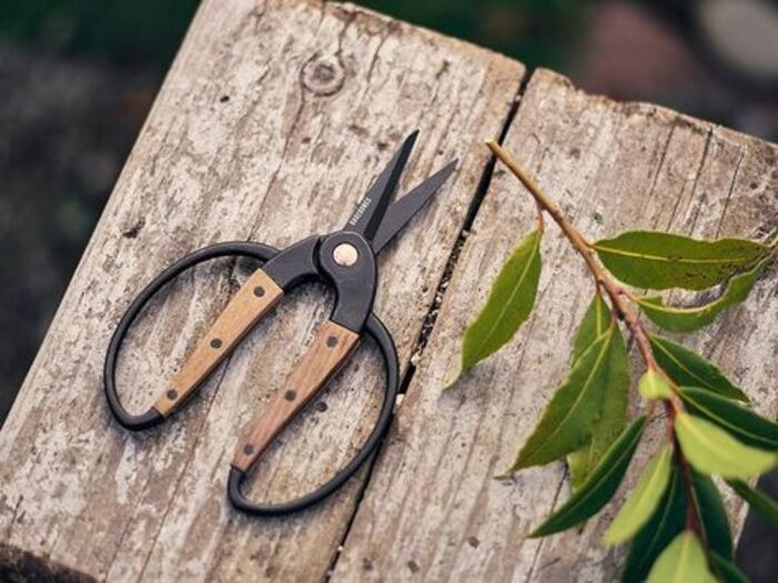 Walnut Scissors: Practical Gardening Kit For Mom