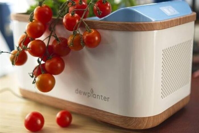 Dewplanter Water Generating Planter: cool gift for gardening mom