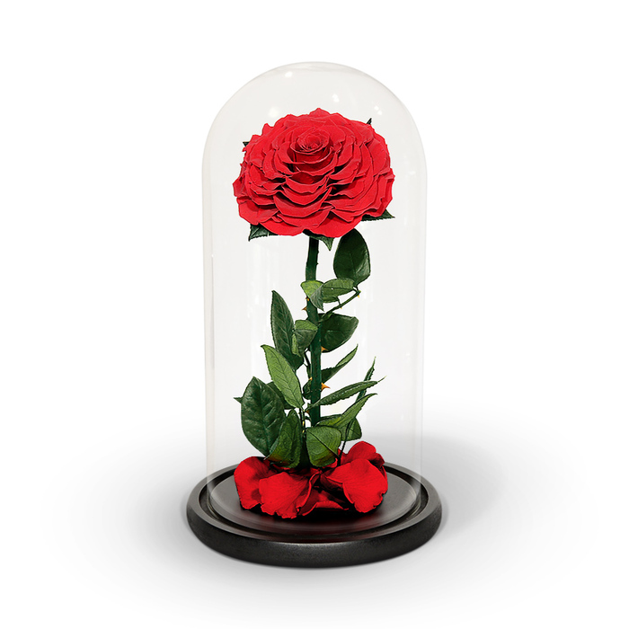 Mother's day gift ideas for girlfriend - Preserved Rose