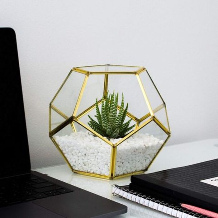 Geometric glass terrarium: cool gift for retired father