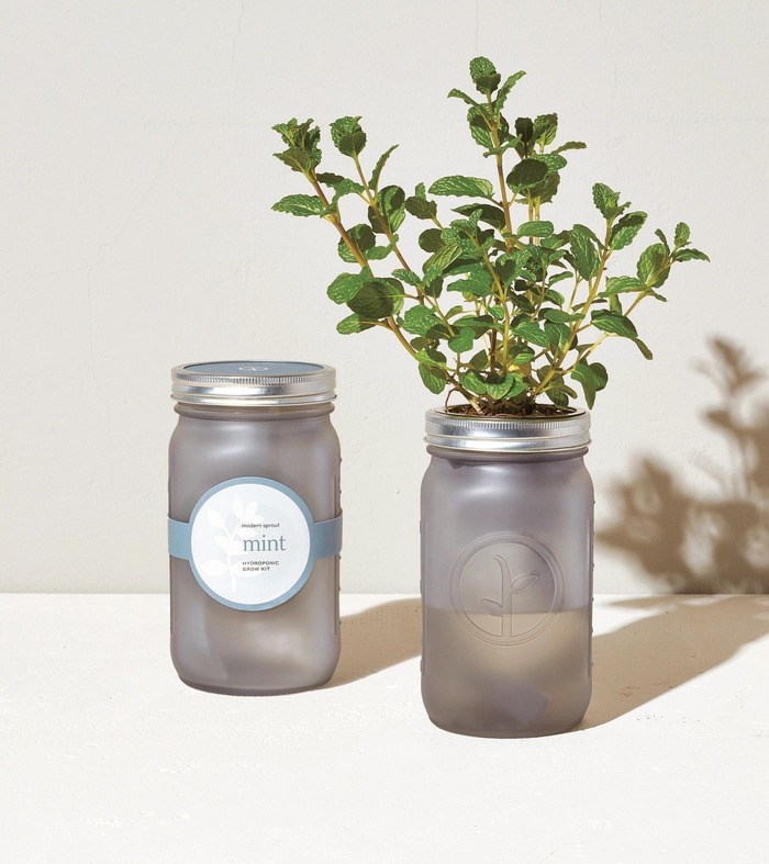  Mothers day gift ideas for aunts - Mason Jar Indoor Herb Garden
