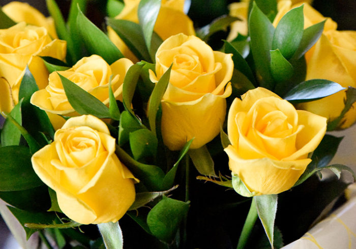 Yellow Roses - Great Gift For 50Th Anniversary