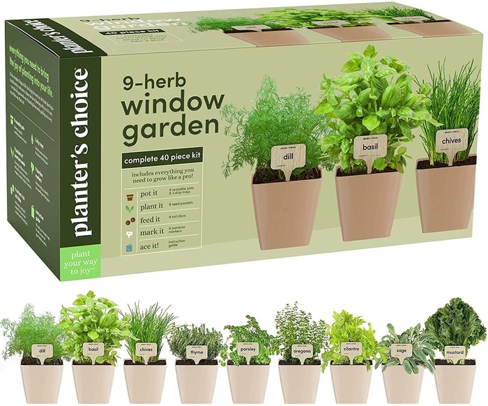 The Window Garden