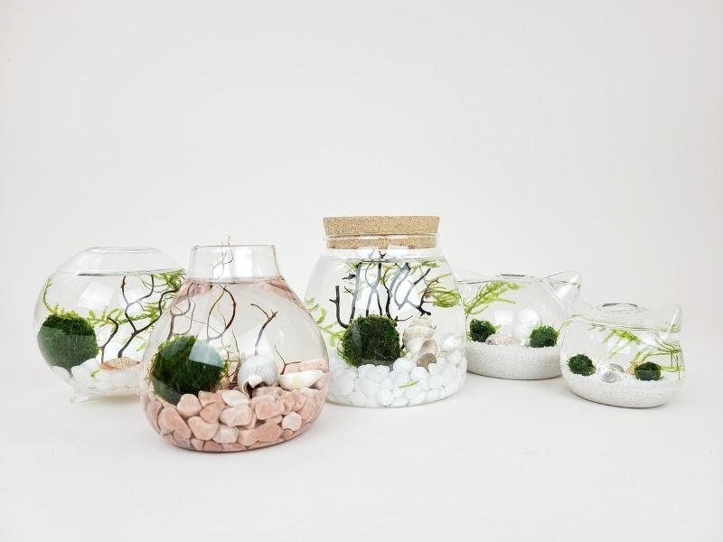 Terrarium with Opal Gravels for 34th anniversary gift ideas