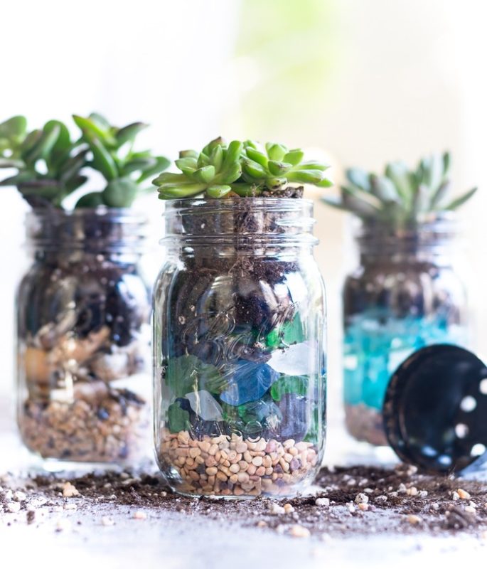 DIY Mason Jar Succulents as an excellent idea to celebrate Father’s Day gift for granddad