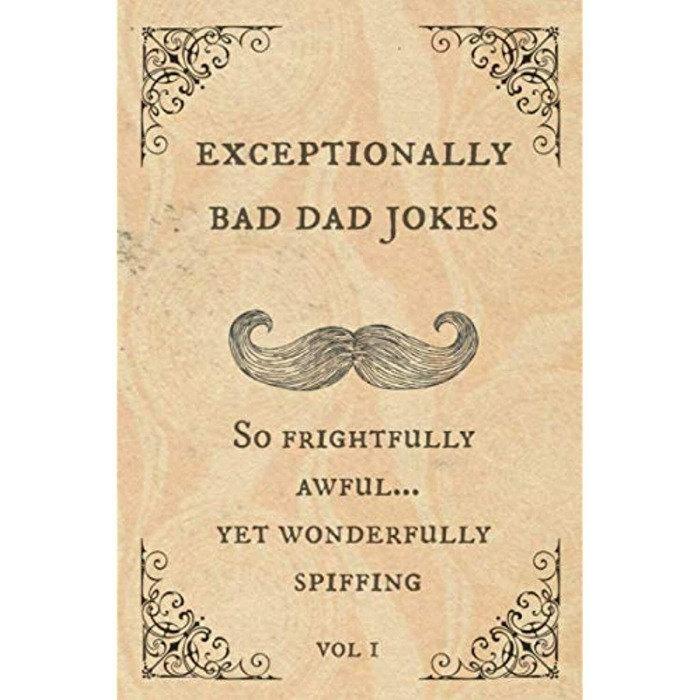 Father'S Day Gift Ideas For Stepdad - Exceptionally Bad Dad Jokes