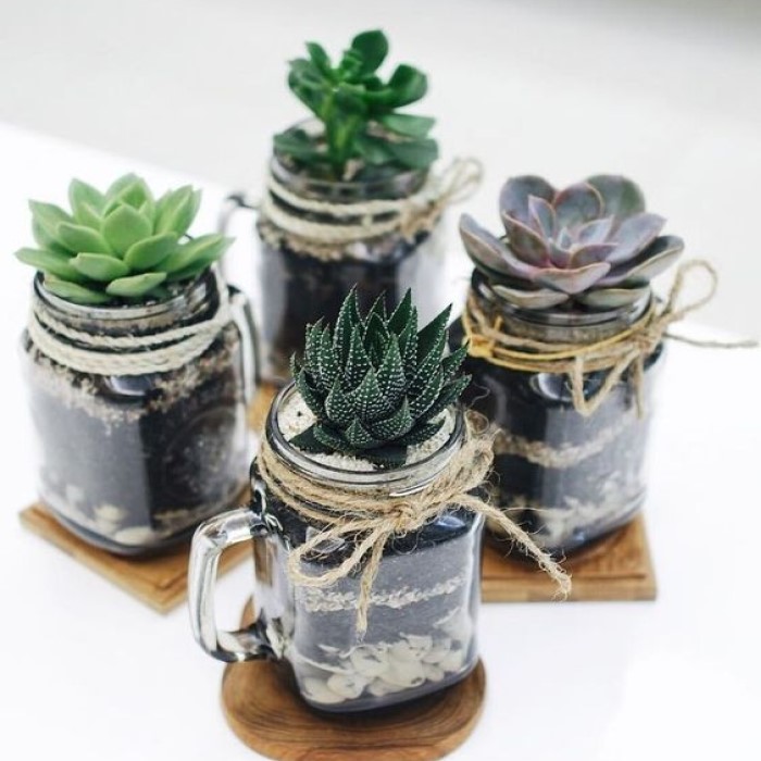 Homemade Father's Day gift - mason jar for plants.