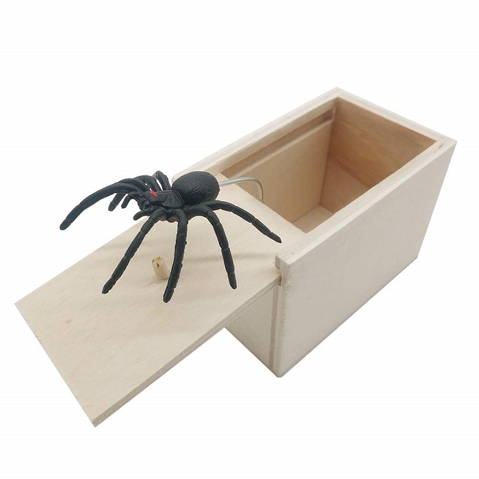 The Spider In The Box