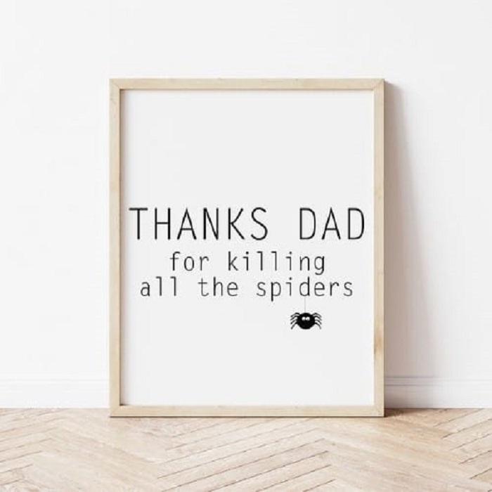 Funny New Dad Gifts - Art That Kills Spiders