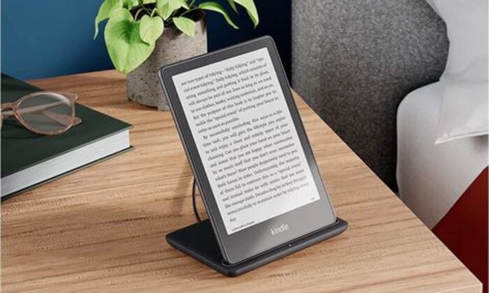 Paperwhite e-reader: cute gift for coworker's retirement