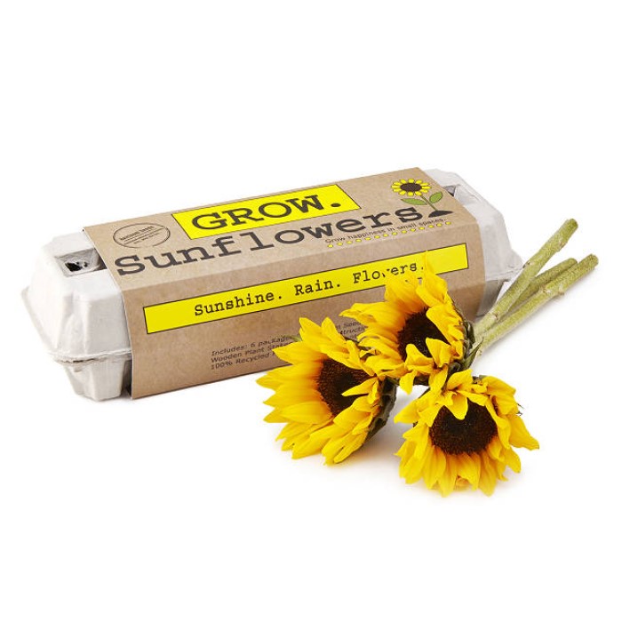 Sunflower Presents For Her: Growing Kit