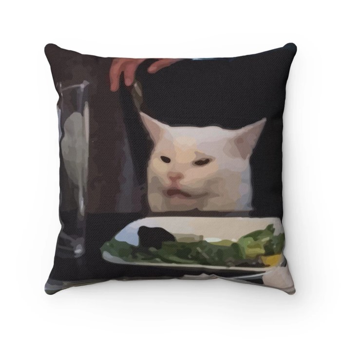 Fun Gift Ideas For Women: Meme Pillows