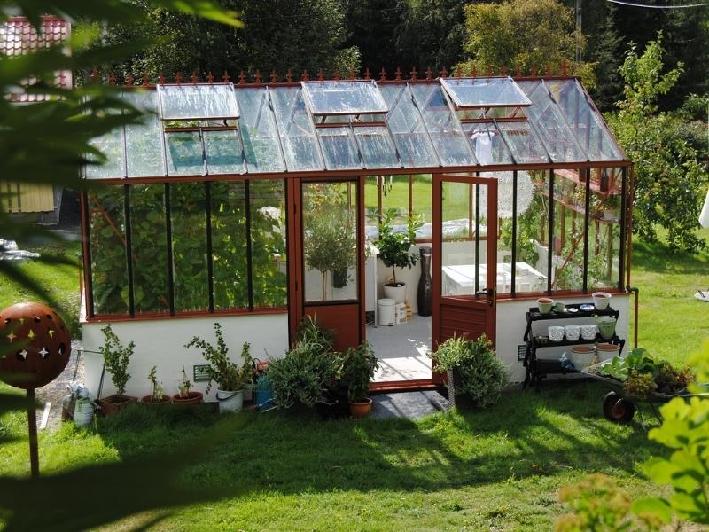 A Greenhouse For The 42Nd Wedding Anniversary Gift