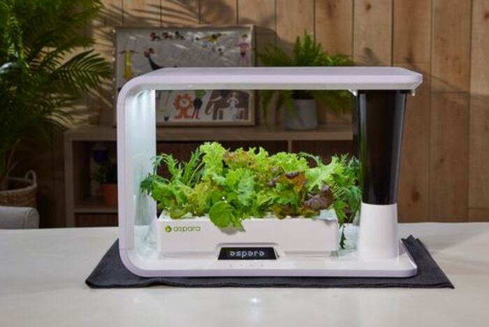 Smart indoor garden: cool gift for father-in-law