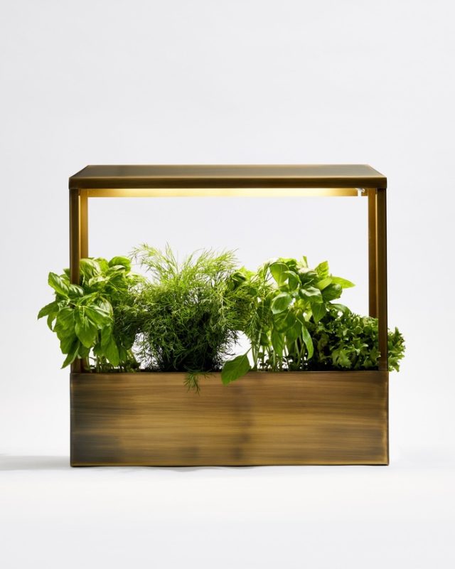 luxury Father’s Day gifts - Smart Brass Growhouse