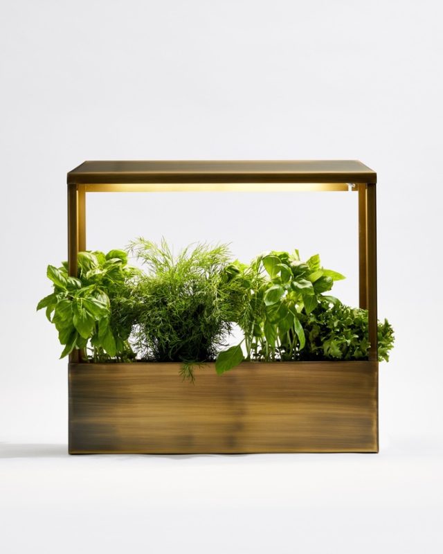 Luxury Father’s Day Gifts - Smart Brass Growhouse