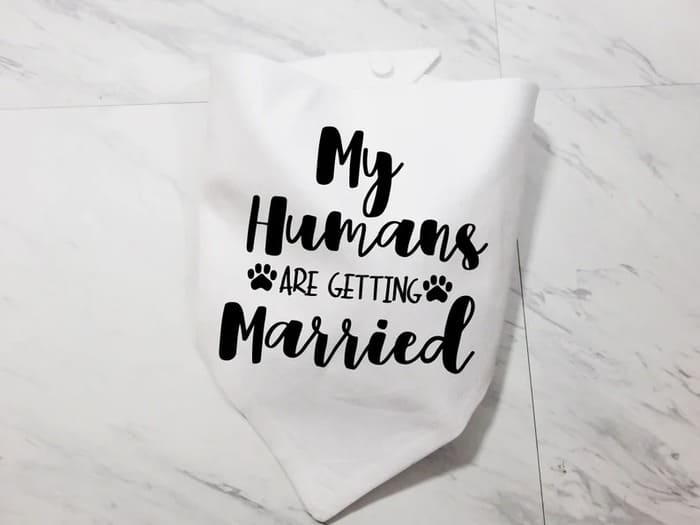 engagement gifts for bride - Dog Bandana