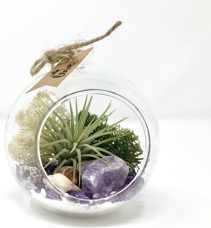 engagement gifts for sister - Air plant terrariums