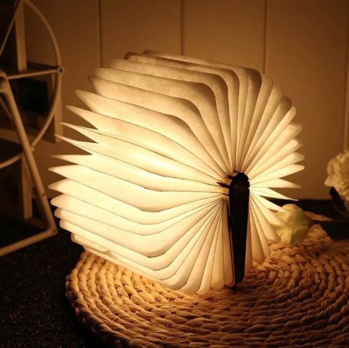 LED book light: warm present for son's significant other