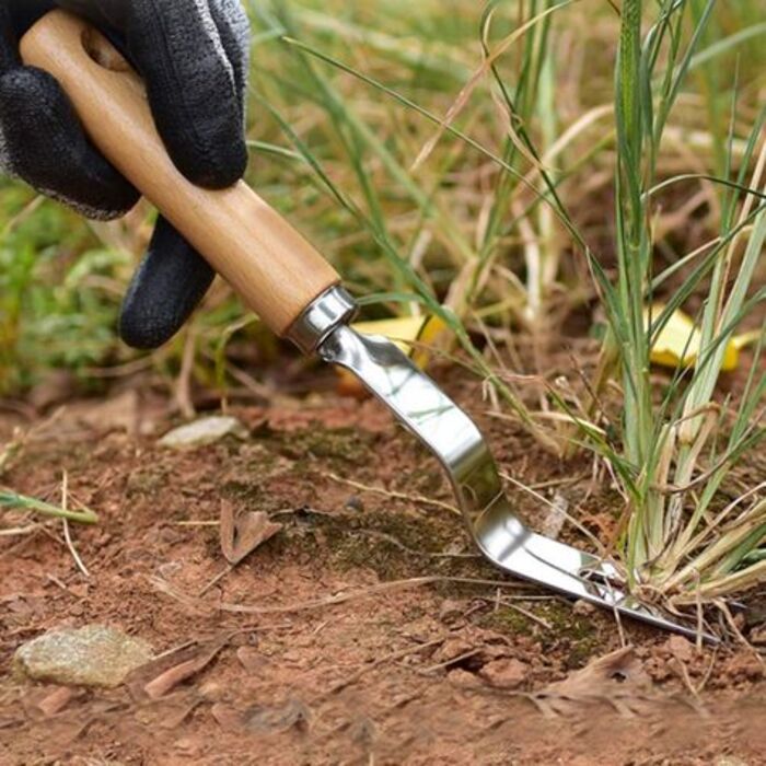 Weed removal tool for dad