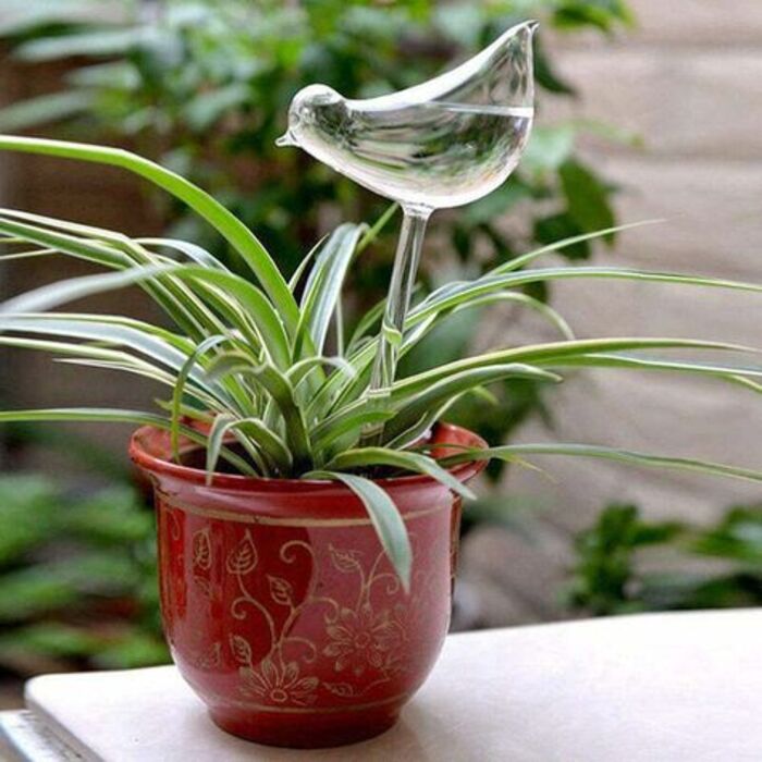 Self-Watering Plants Glass Bird