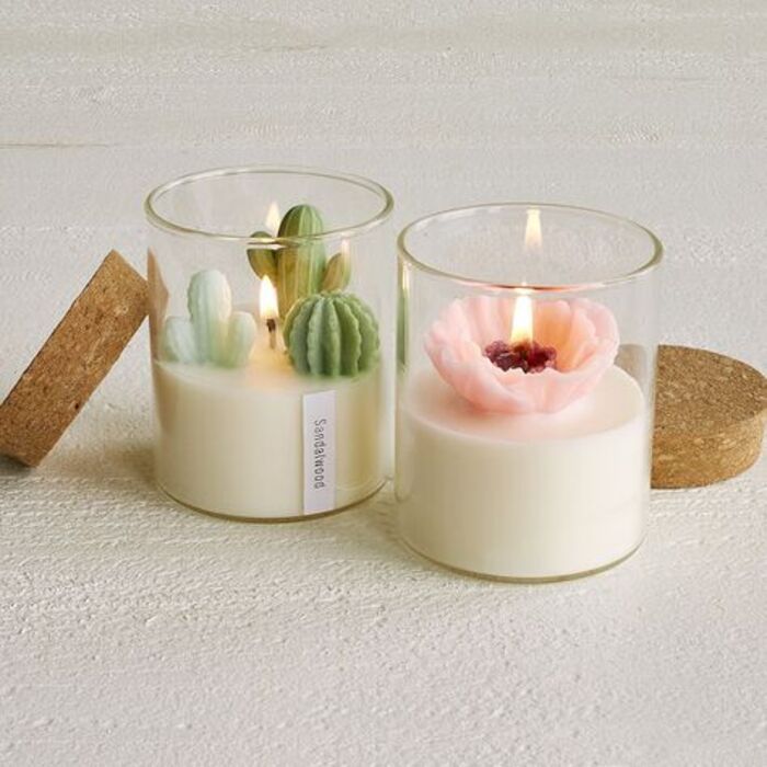 Terrarium candles: lovely gifts for female best friend