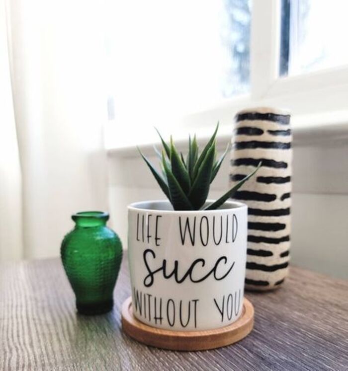 "Life would succ without you" plant
