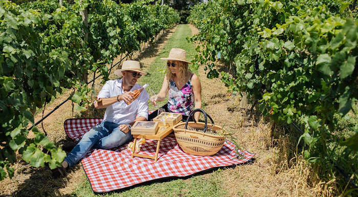 Last Minute Engagement Gifts - Picnic At The Winery