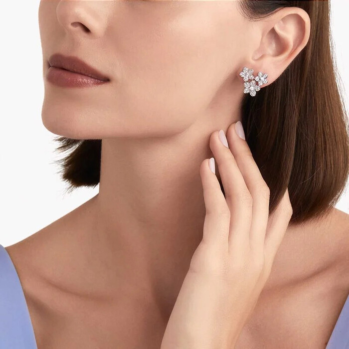 Gorgeous Earrings